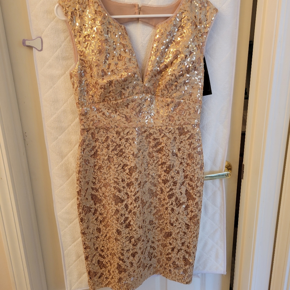 Bcbg Dress
